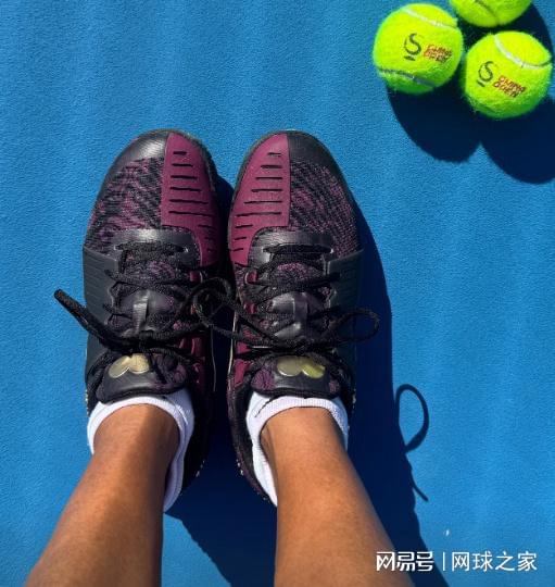 进巡回赛决, net, 无人晋级